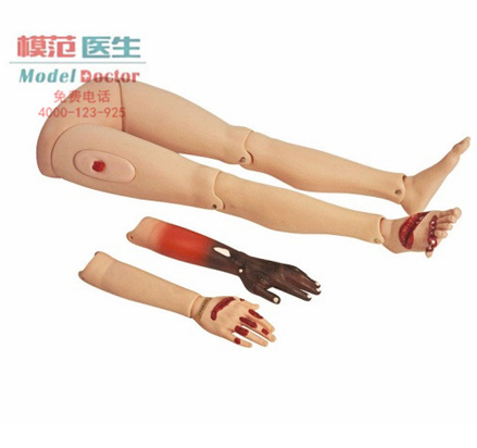 高級創(chuàng)傷四肢模型