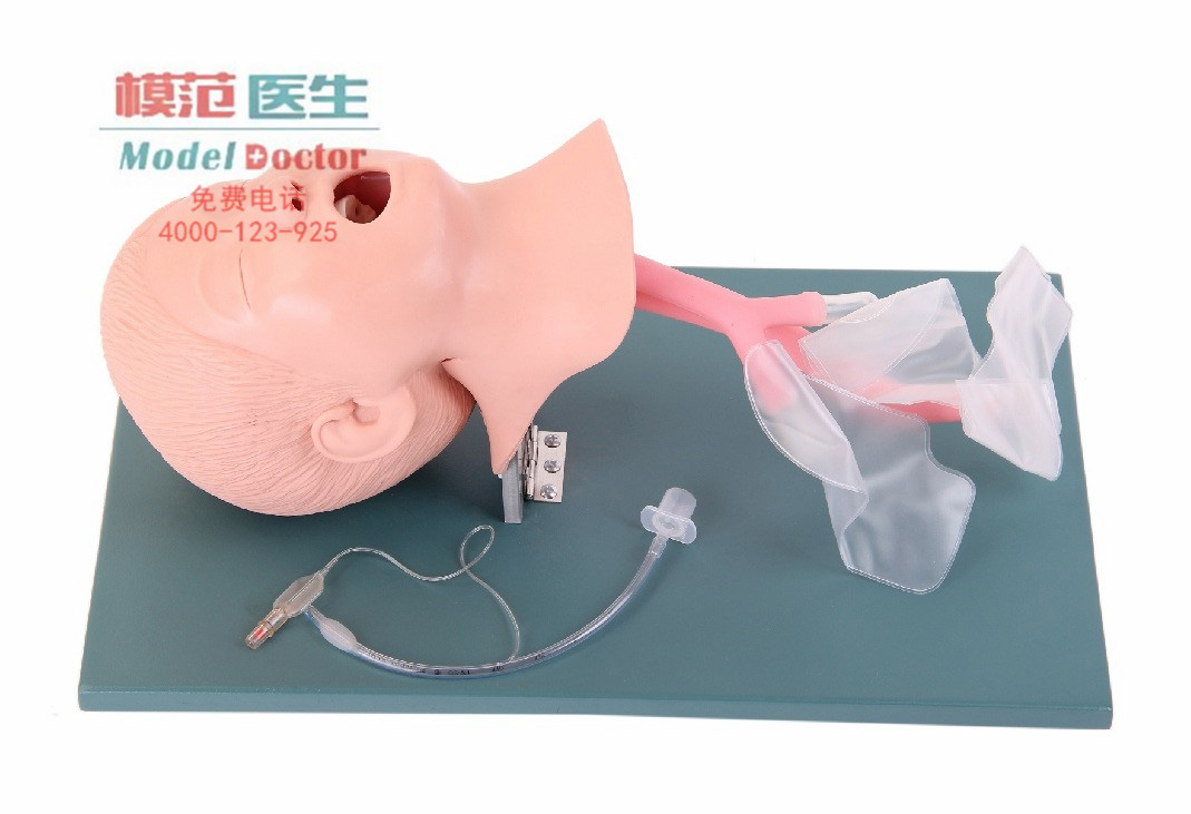 高級兒童氣管插管模型