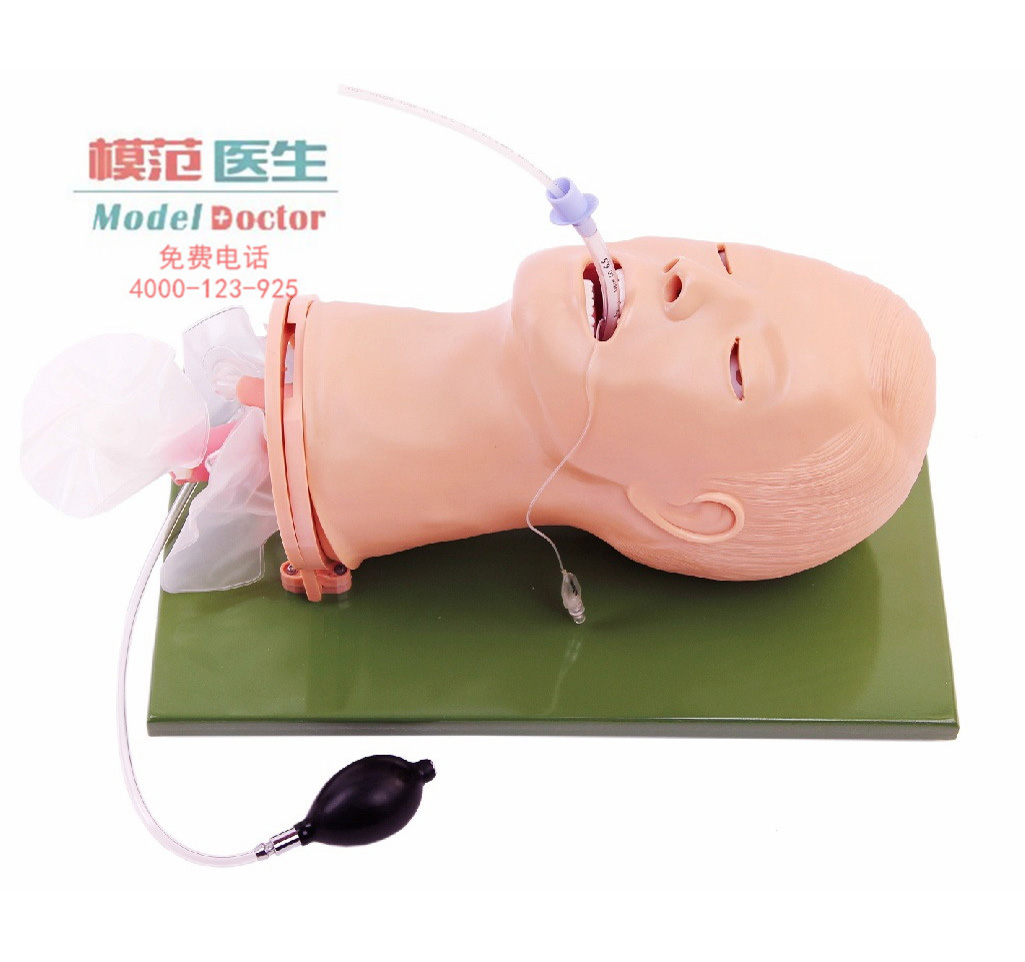 高級(jí)多功能氣道管理模型