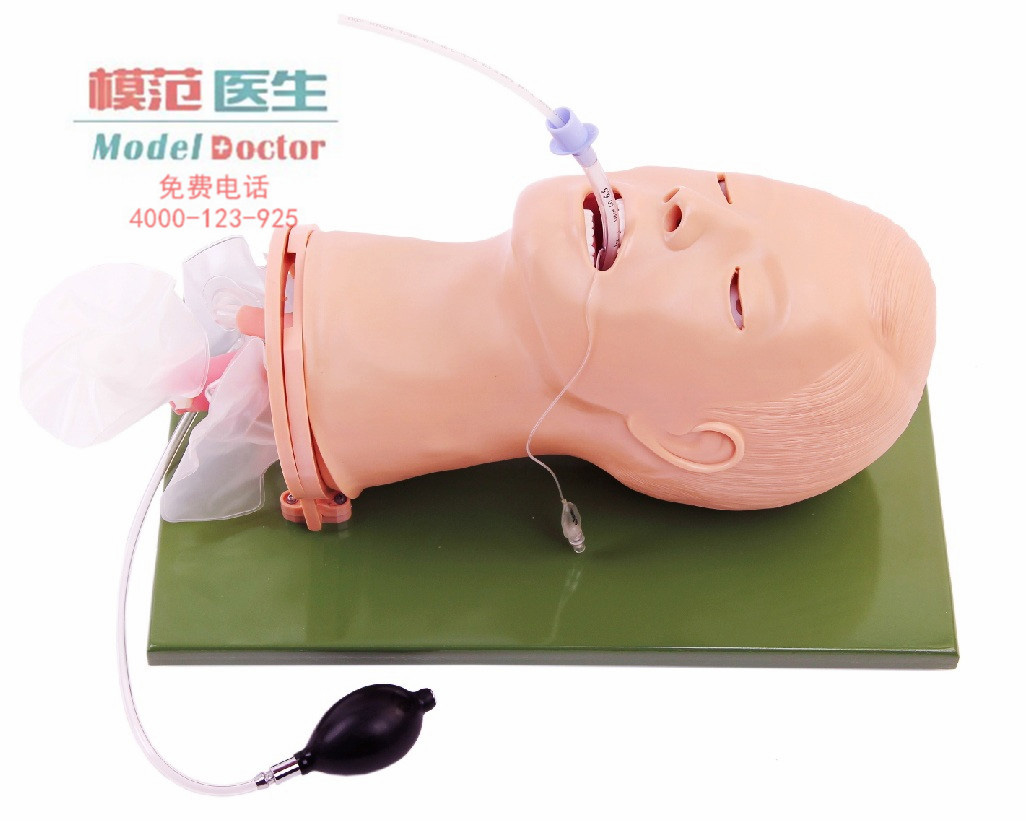 電子人體氣管插管訓(xùn)練模型
